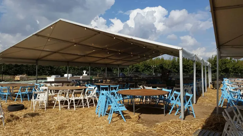 אוהל צל גדול בשטח פתוח עם שולחן ארוך וכיסאות תכלת